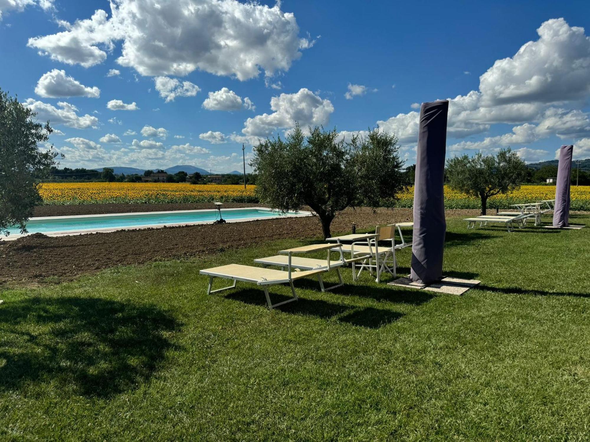 Assisium Agriturismo Extérieur photo